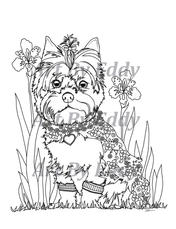 36 Lovely Yorkie Coloring Pages Printable 14