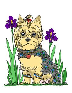 36 Lovely Yorkie Coloring Pages Printable 21