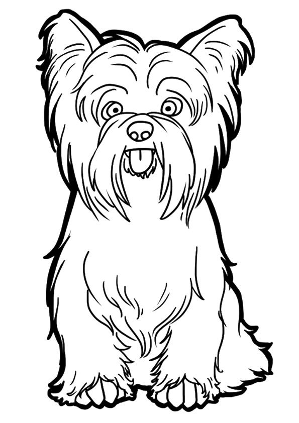 36 Lovely Yorkie Coloring Pages Printable 33