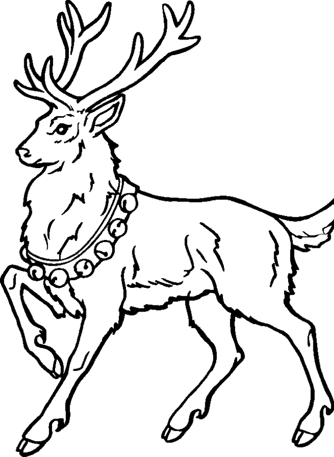 36 Reindeer Coloring Pages Printable 13