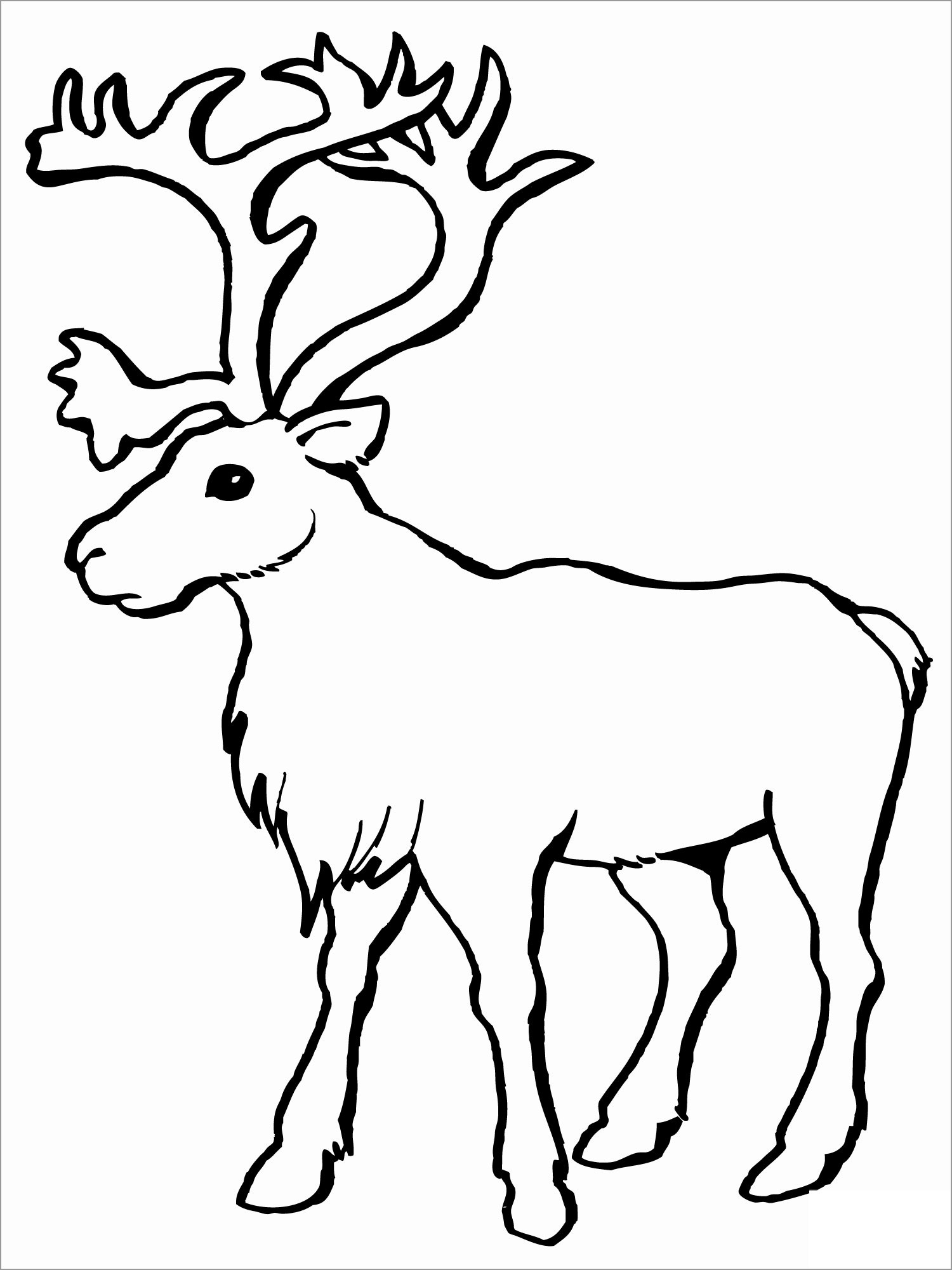 36 Reindeer Coloring Pages Printable 14