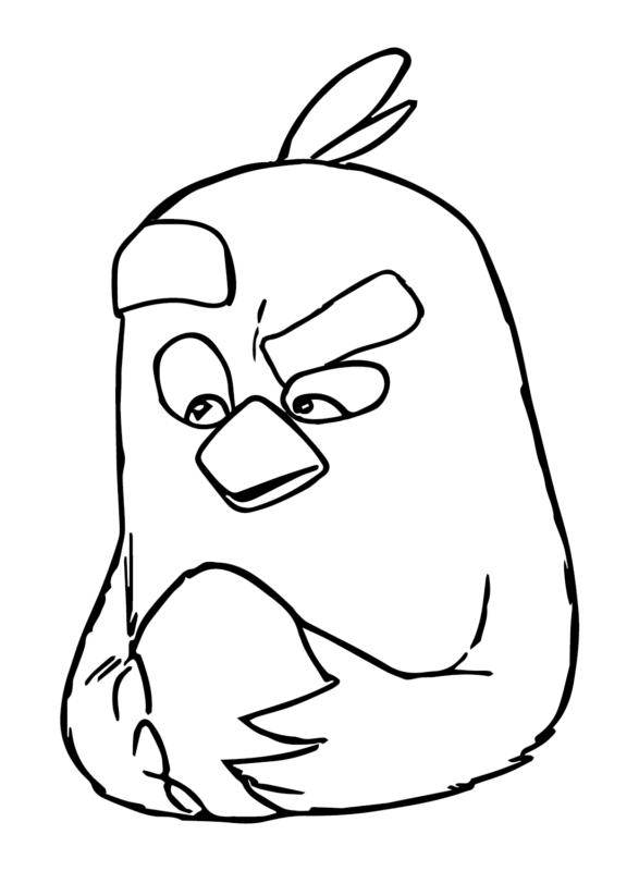 37 Fun Angry Bird Coloring Pages Printable 21