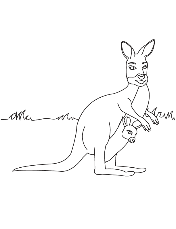 37 Fun Kangaroo Coloring Pages for Kids Printable 10