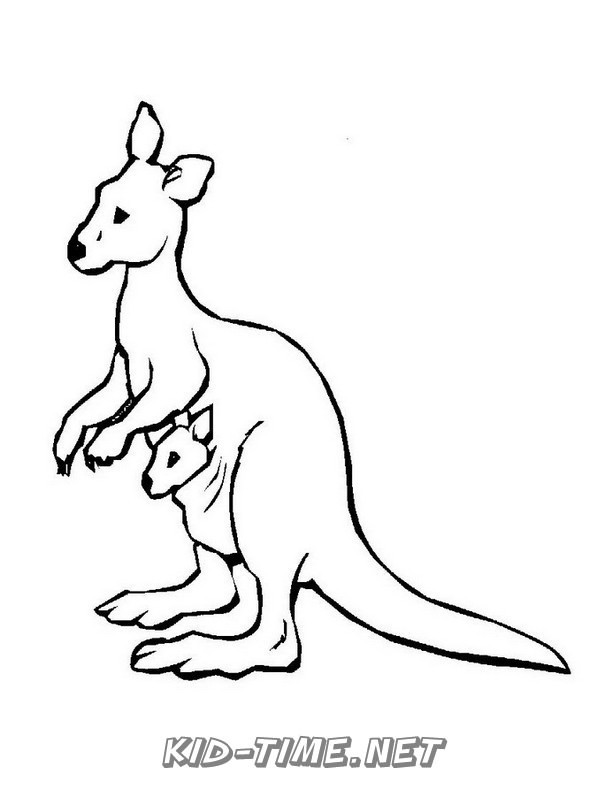 37 Fun Kangaroo Coloring Pages for Kids Printable 16