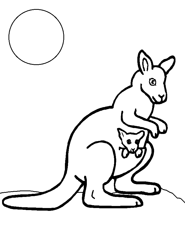 37 Fun Kangaroo Coloring Pages for Kids Printable 25