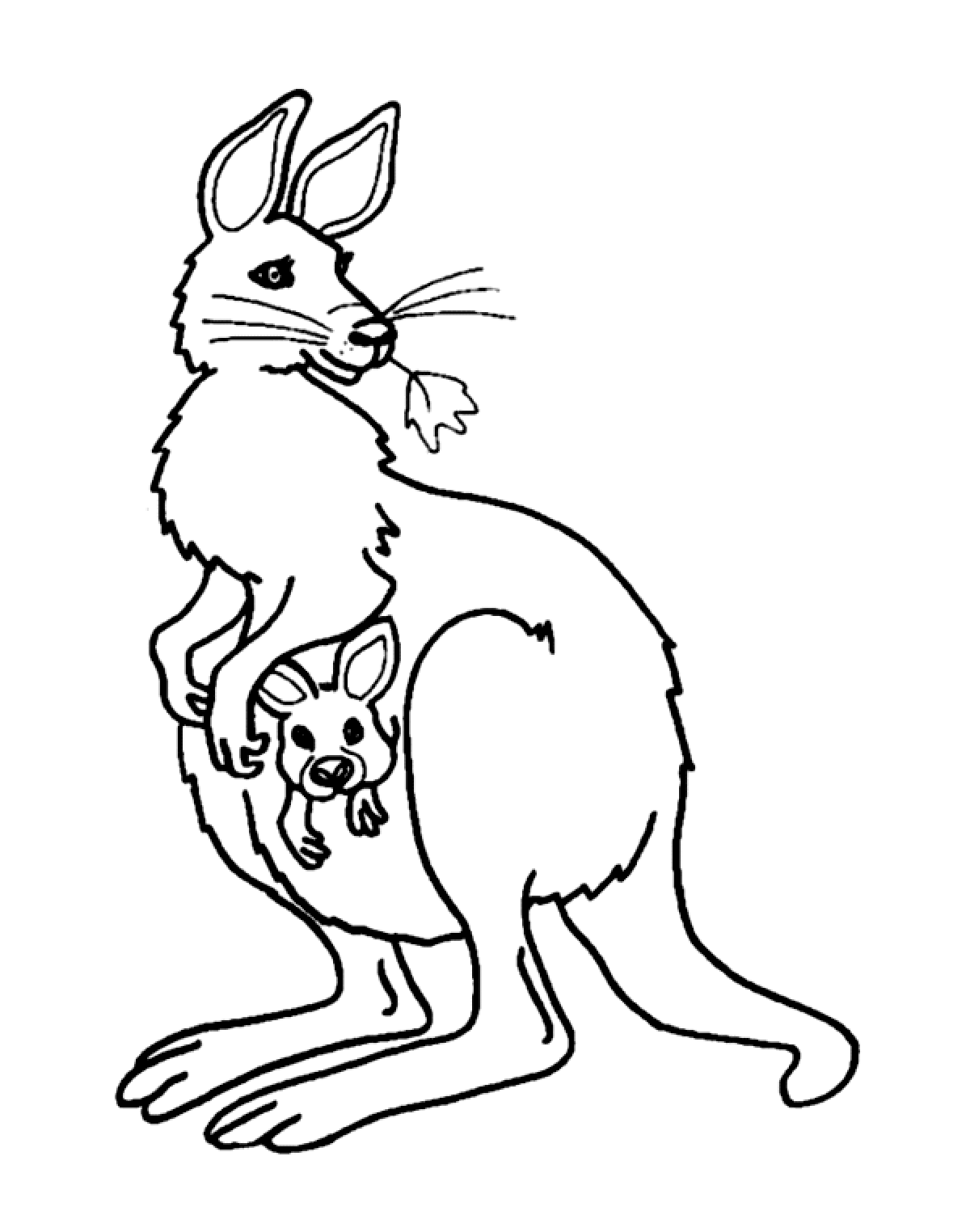 37 Fun Kangaroo Coloring Pages for Kids Printable 27