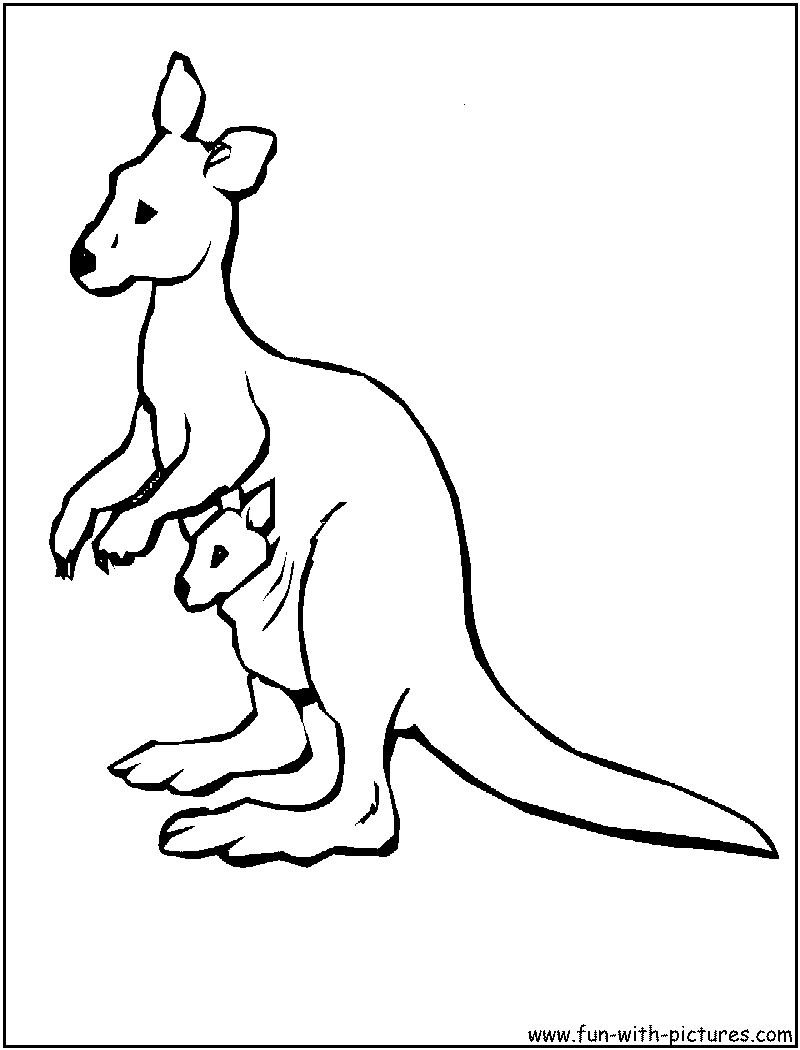 37 Fun Kangaroo Coloring Pages for Kids Printable 34