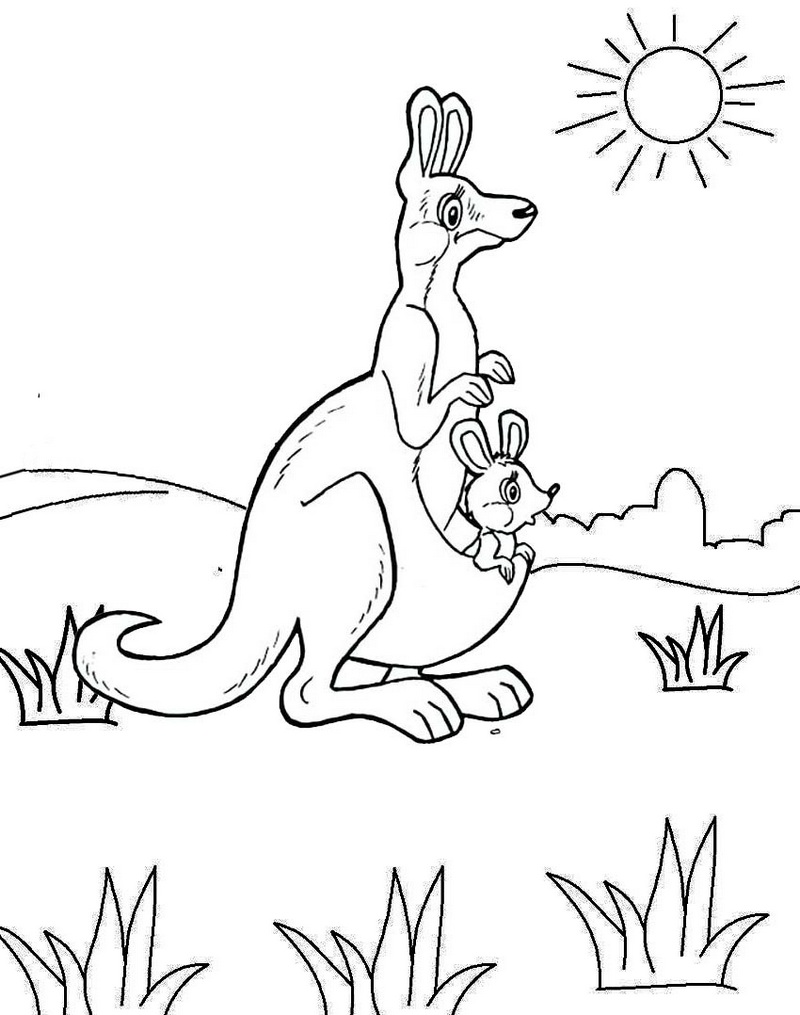 37 Fun Kangaroo Coloring Pages for Kids Printable 7