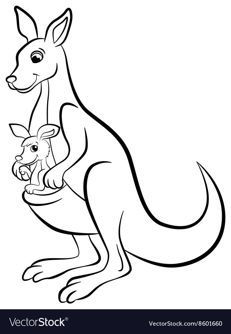 37 Fun Kangaroo Coloring Pages for Kids Printable 8