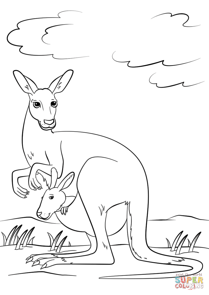 37 Fun Kangaroo Coloring Pages for Kids Printable 9