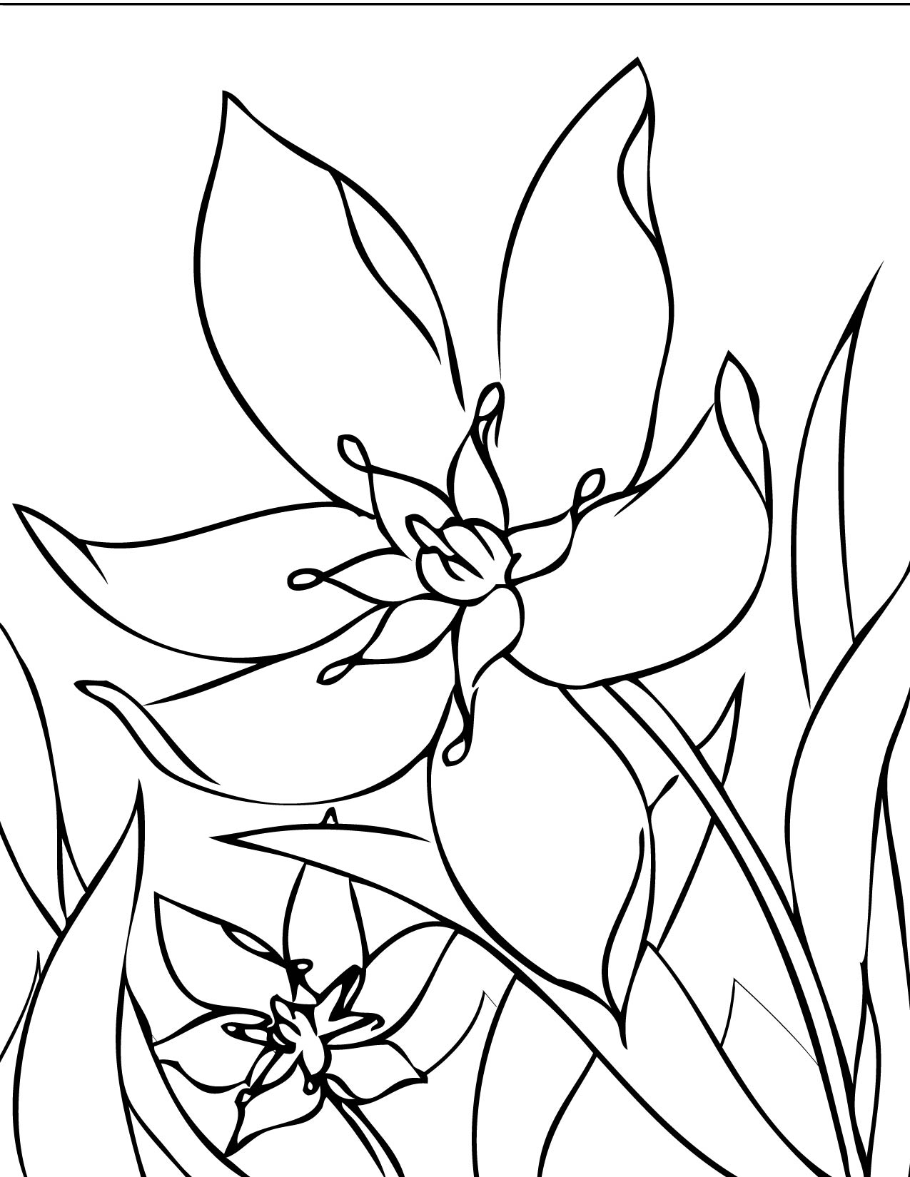 37 Stars Coloring Pages Printable 27