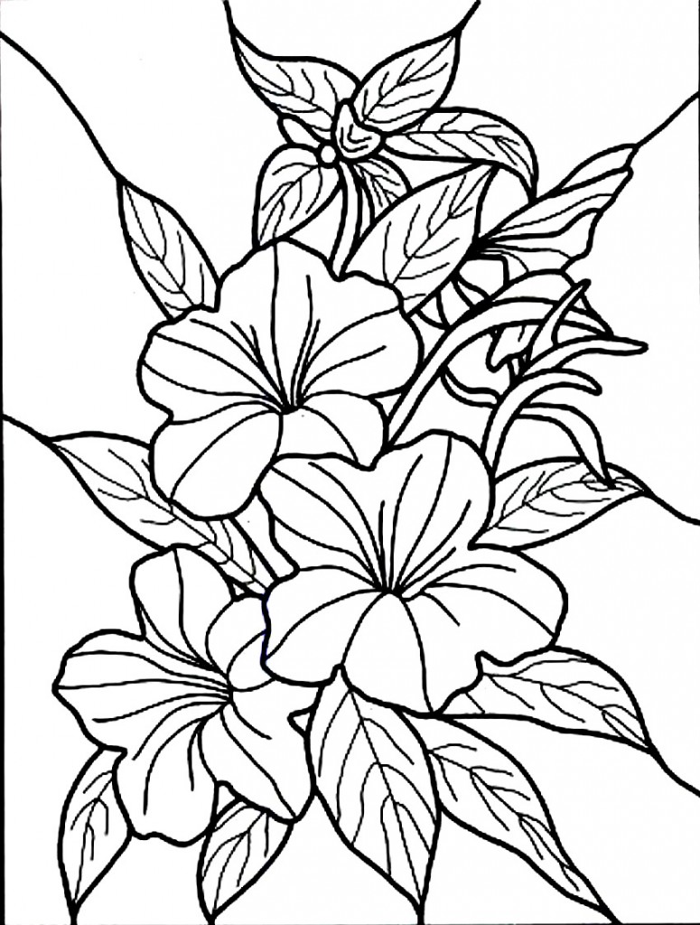 38 Hibiscus Coloring Pages for Kids Printable 1