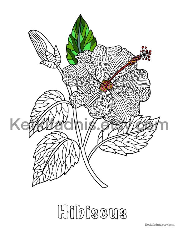 38 Hibiscus Coloring Pages for Kids Printable 10