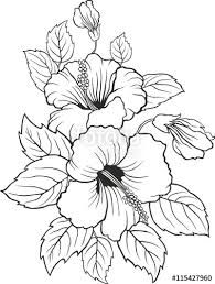 38 Hibiscus Coloring Pages for Kids Printable 15