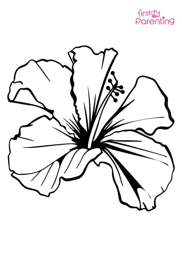 38 Hibiscus Coloring Pages for Kids Printable 19