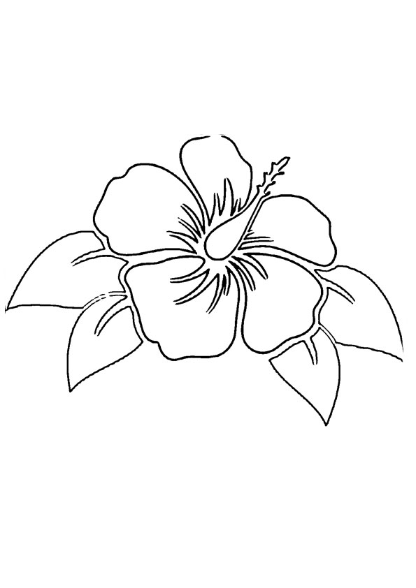 38 Hibiscus Coloring Pages for Kids Printable 20