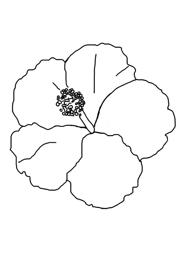 38 Hibiscus Coloring Pages for Kids Printable 21