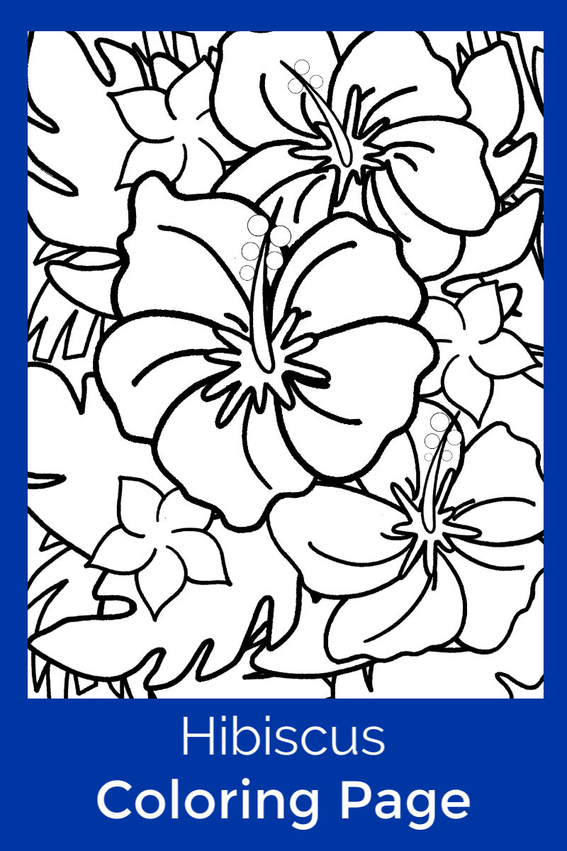 38 Hibiscus Coloring Pages for Kids Printable 25