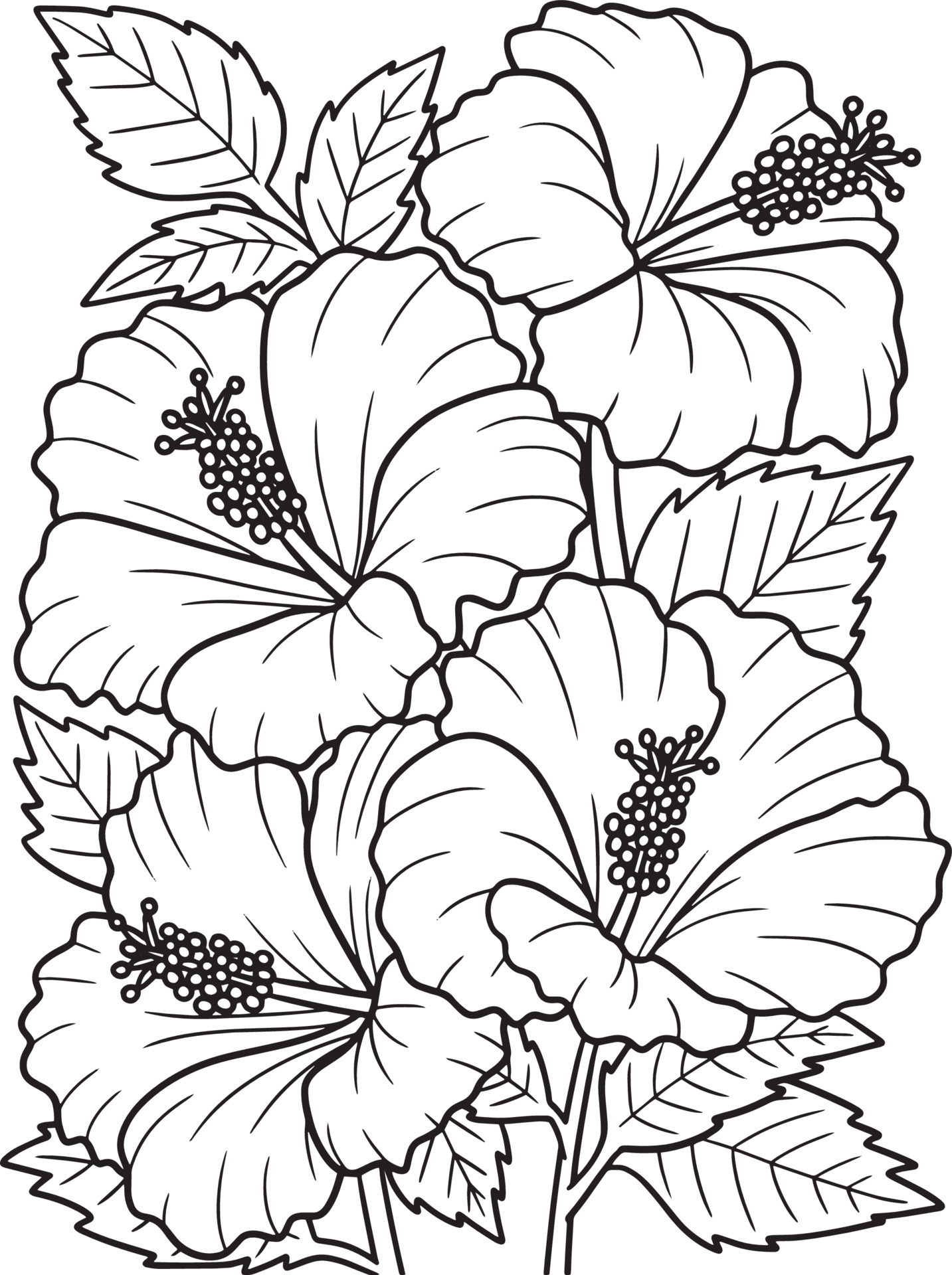 38 Hibiscus Coloring Pages for Kids Printable 29