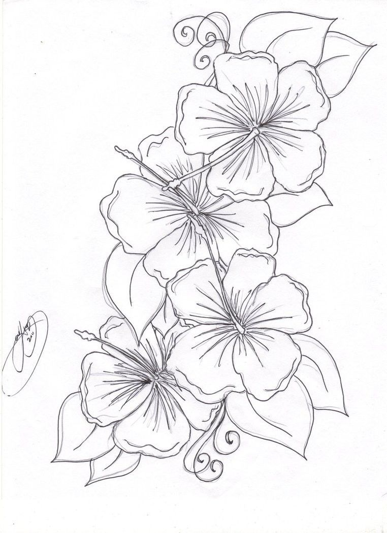 38 Hibiscus Coloring Pages for Kids Printable 30