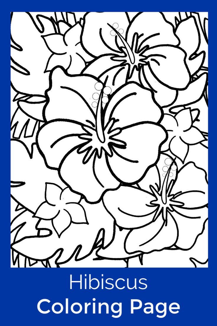 38 Hibiscus Coloring Pages for Kids Printable 31