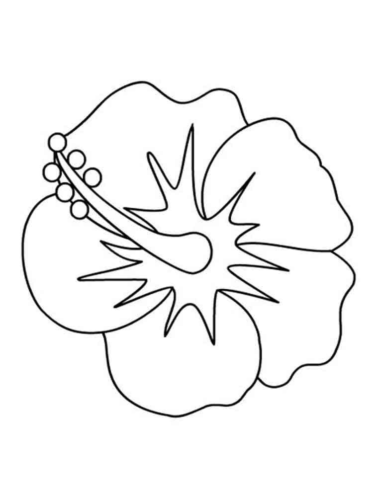 38 Hibiscus Coloring Pages for Kids Printable 6