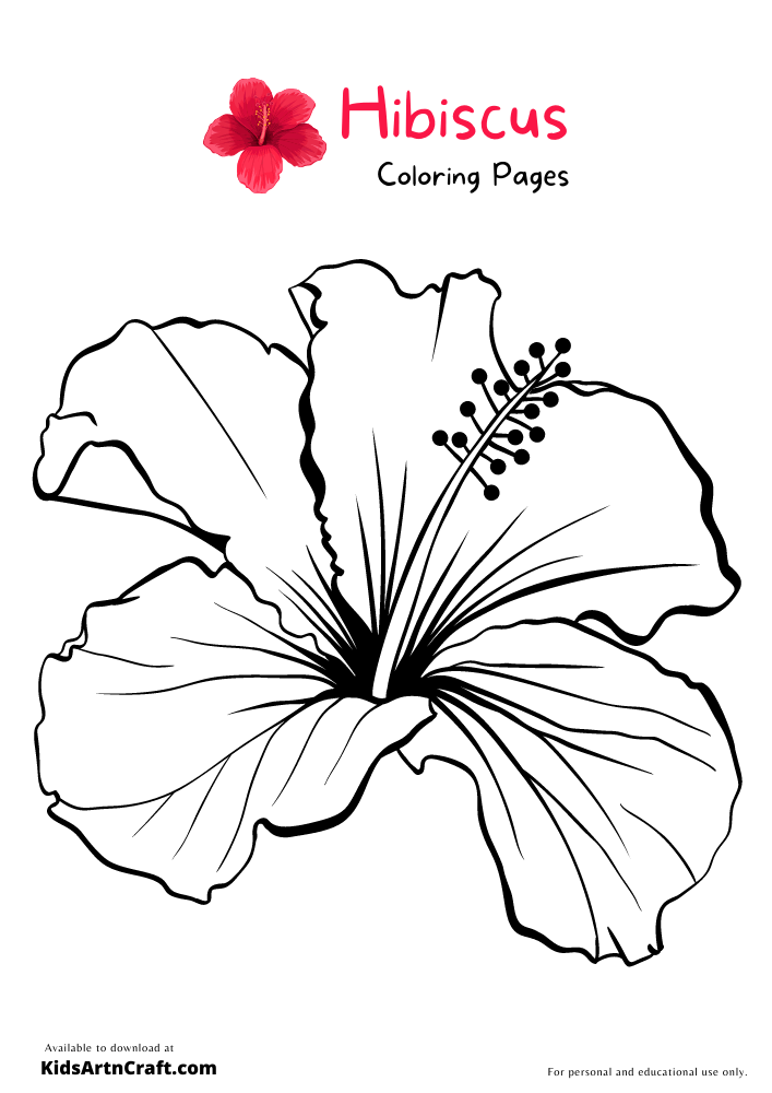 38 Hibiscus Coloring Pages for Kids Printable 7