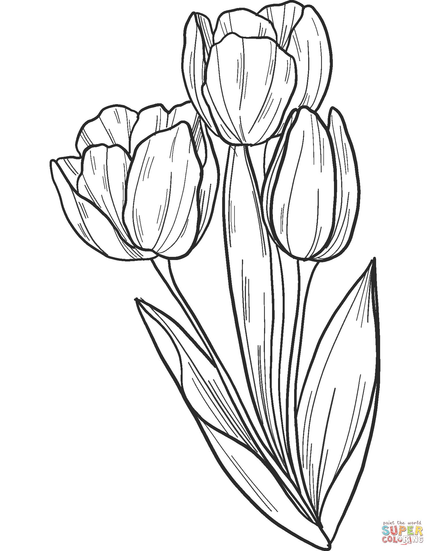 38 Tulip Coloring Pages Printable 1