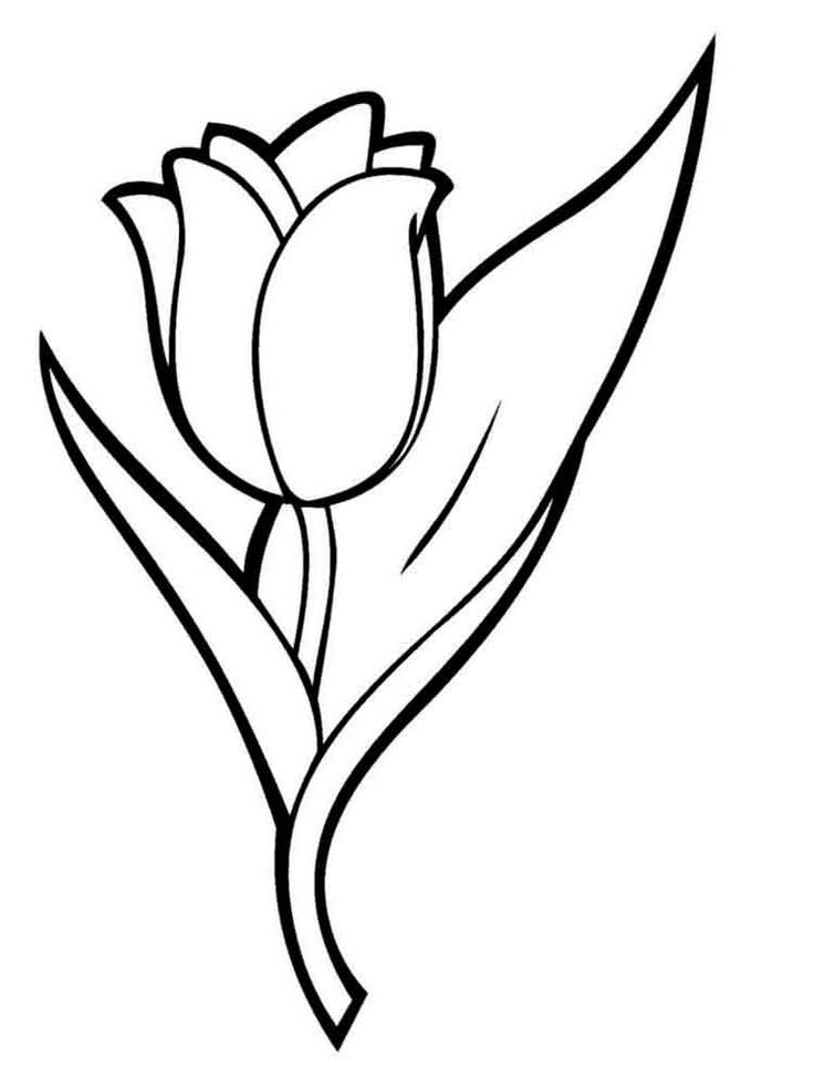 38 Tulip Coloring Pages Printable 10