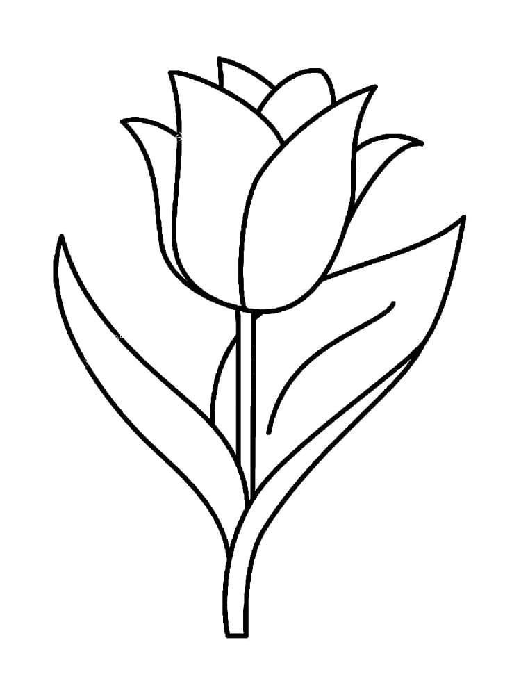 38 Tulip Coloring Pages Printable 19