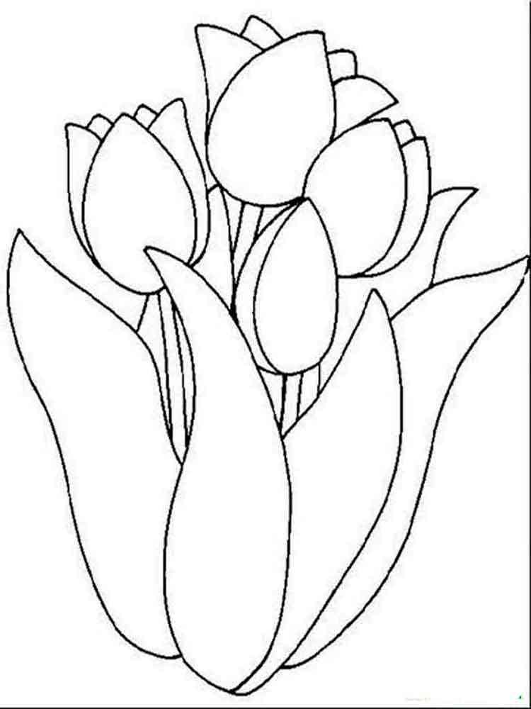 38 Tulip Coloring Pages Printable 23