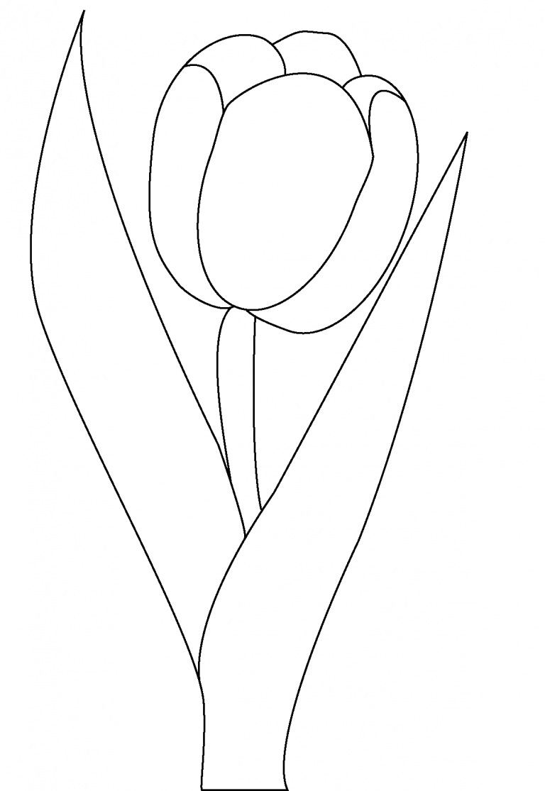 38 Tulip Coloring Pages Printable 25