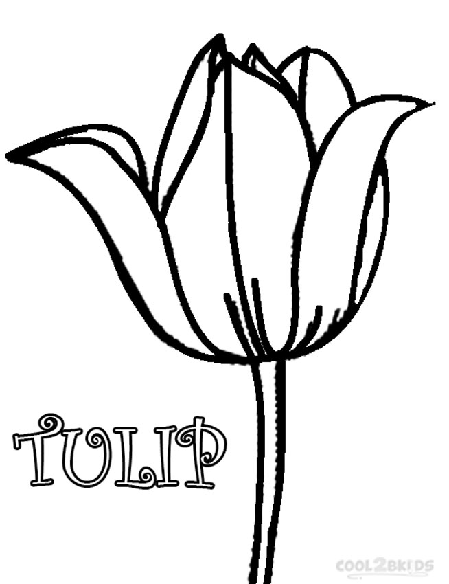 38 Tulip Coloring Pages Printable 29