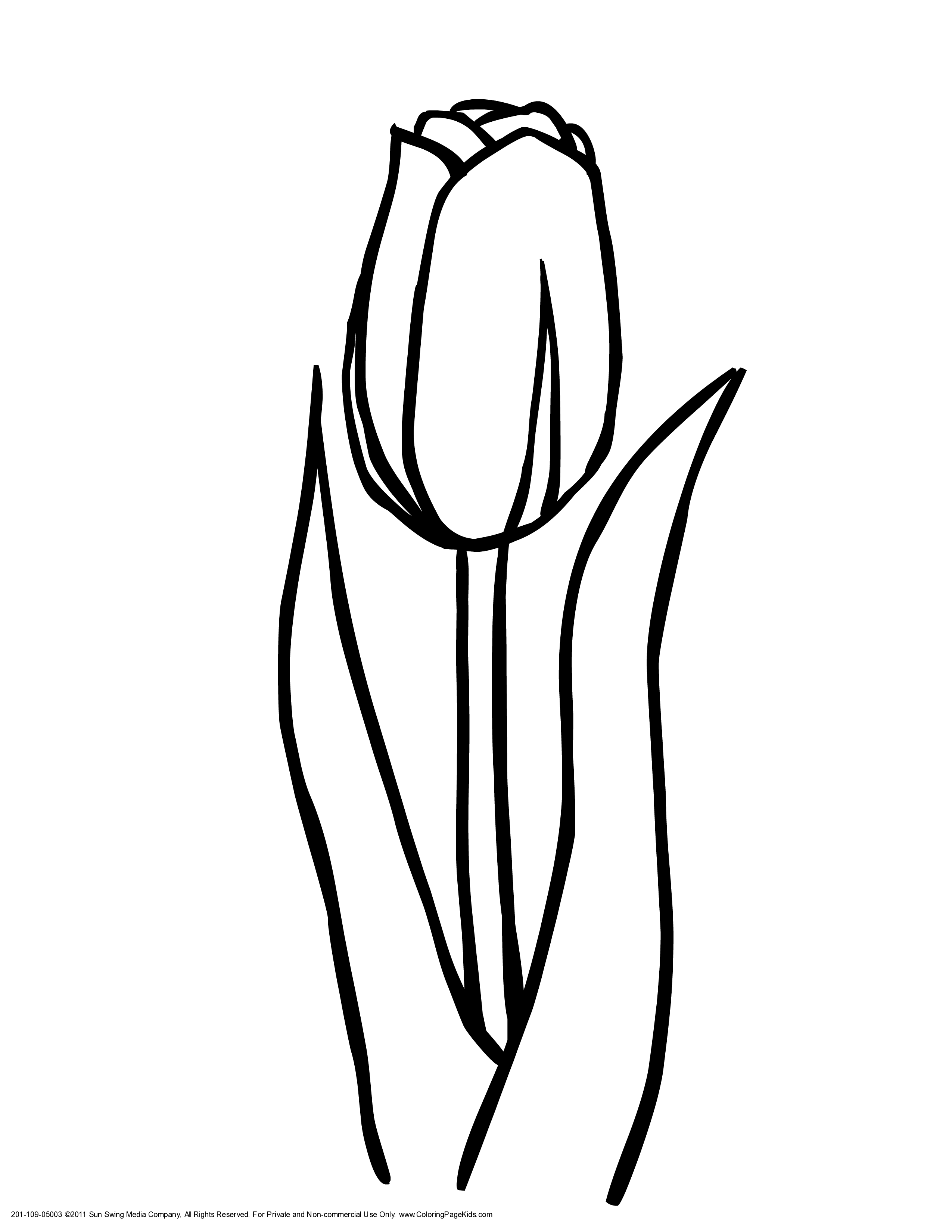 38 Tulip Coloring Pages Printable 4