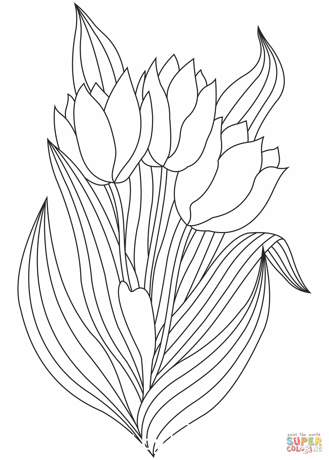 38 Tulip Coloring Pages Printable 9