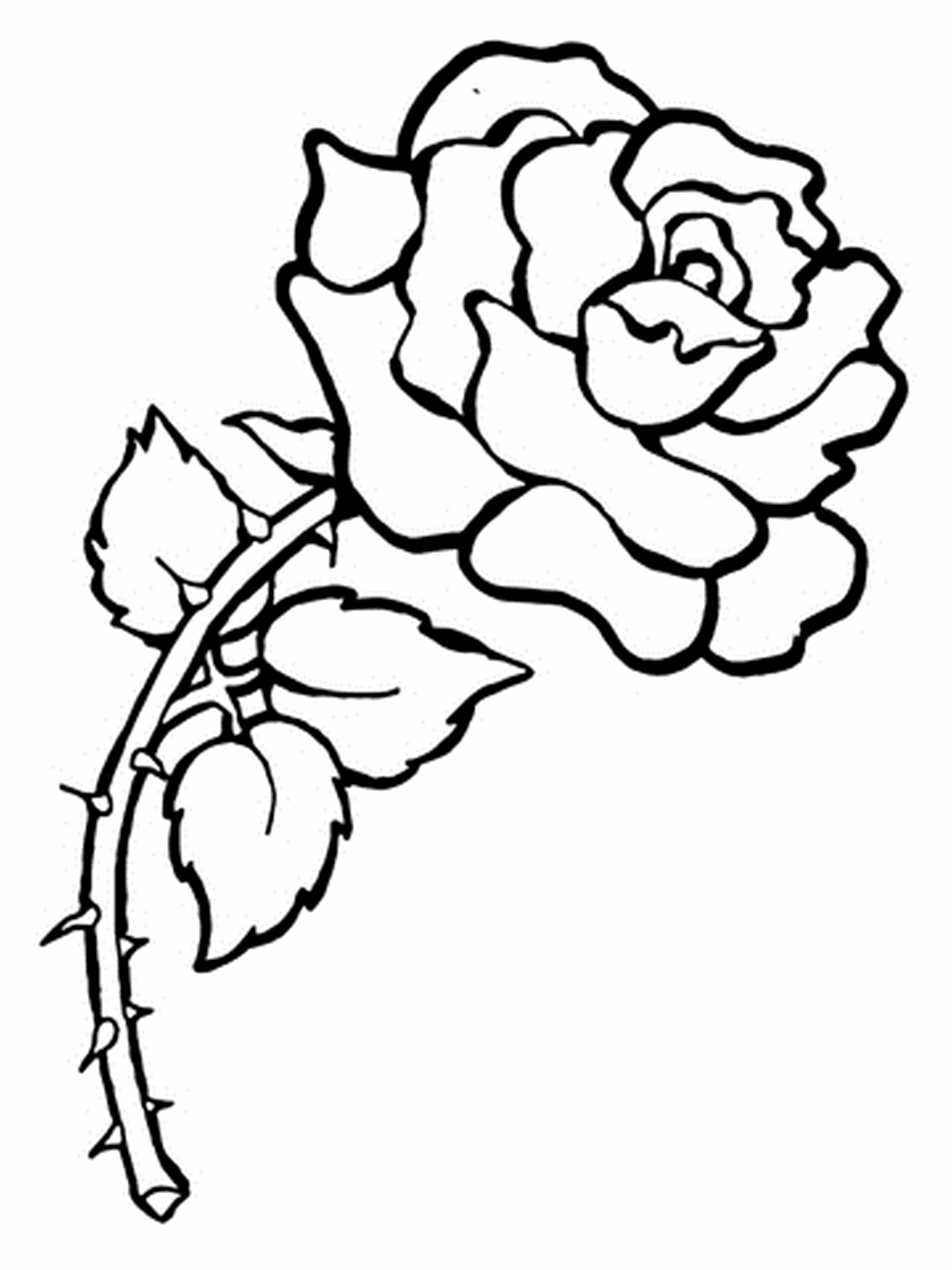 39 Beautiful Flower Coloring Pages Printable 15