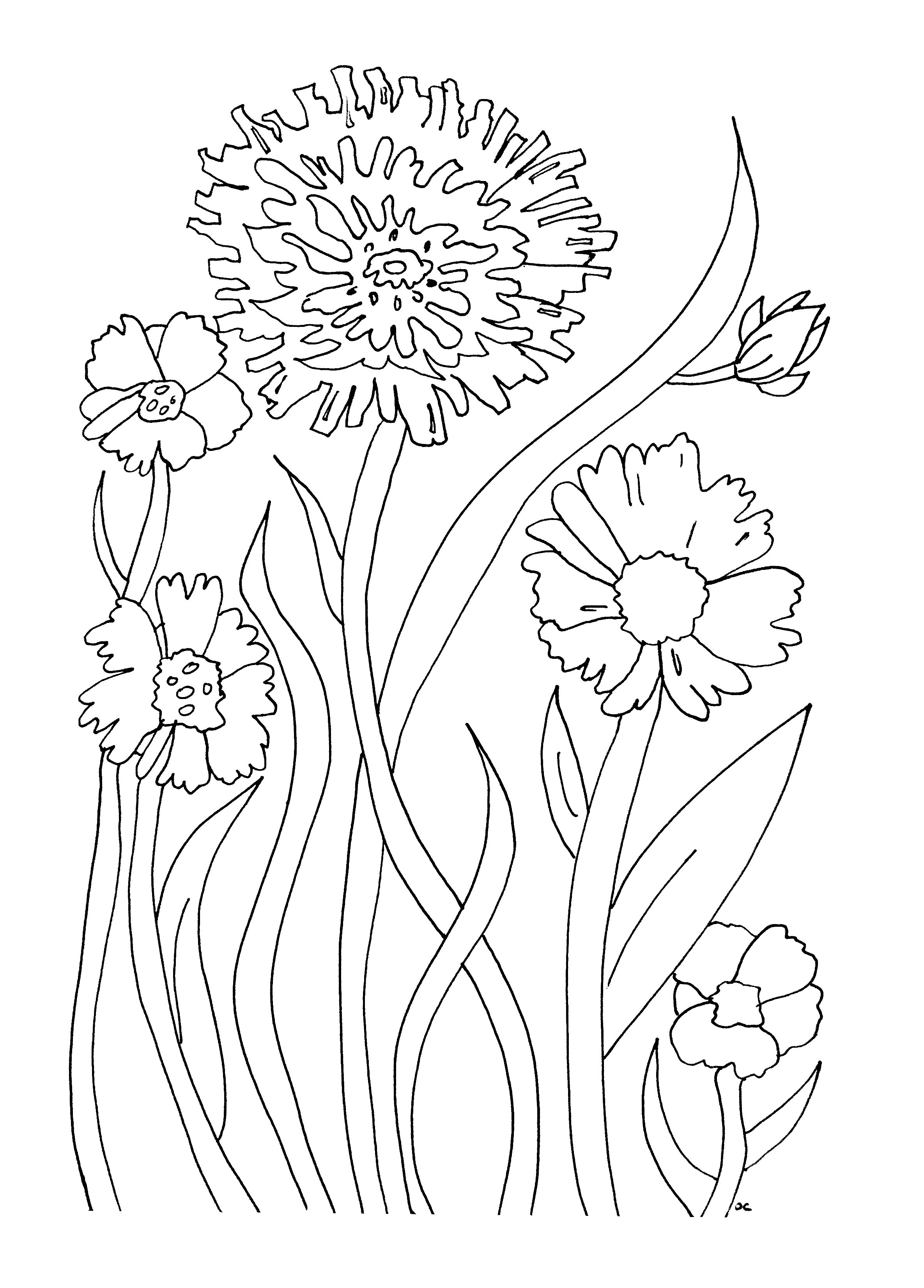 39 Beautiful Flower Coloring Pages Printable 2