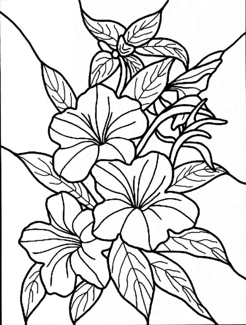 39 Beautiful Flower Coloring Pages Printable 29