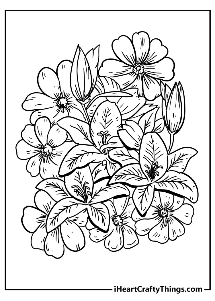 39 Beautiful Flower Coloring Pages Printable 35