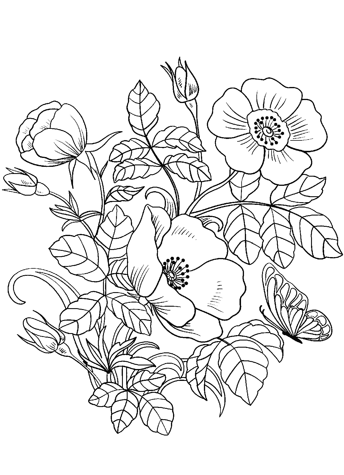 39 Beautiful Flower Coloring Pages Printable 5