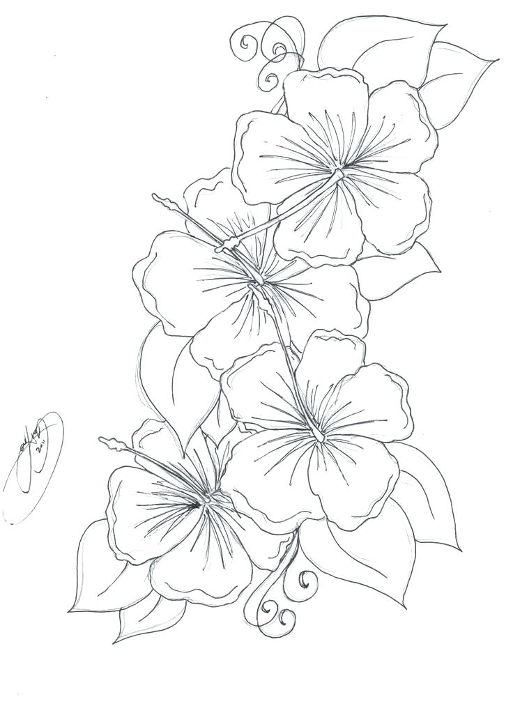 39 Beautiful Flower Coloring Pages Printable 9