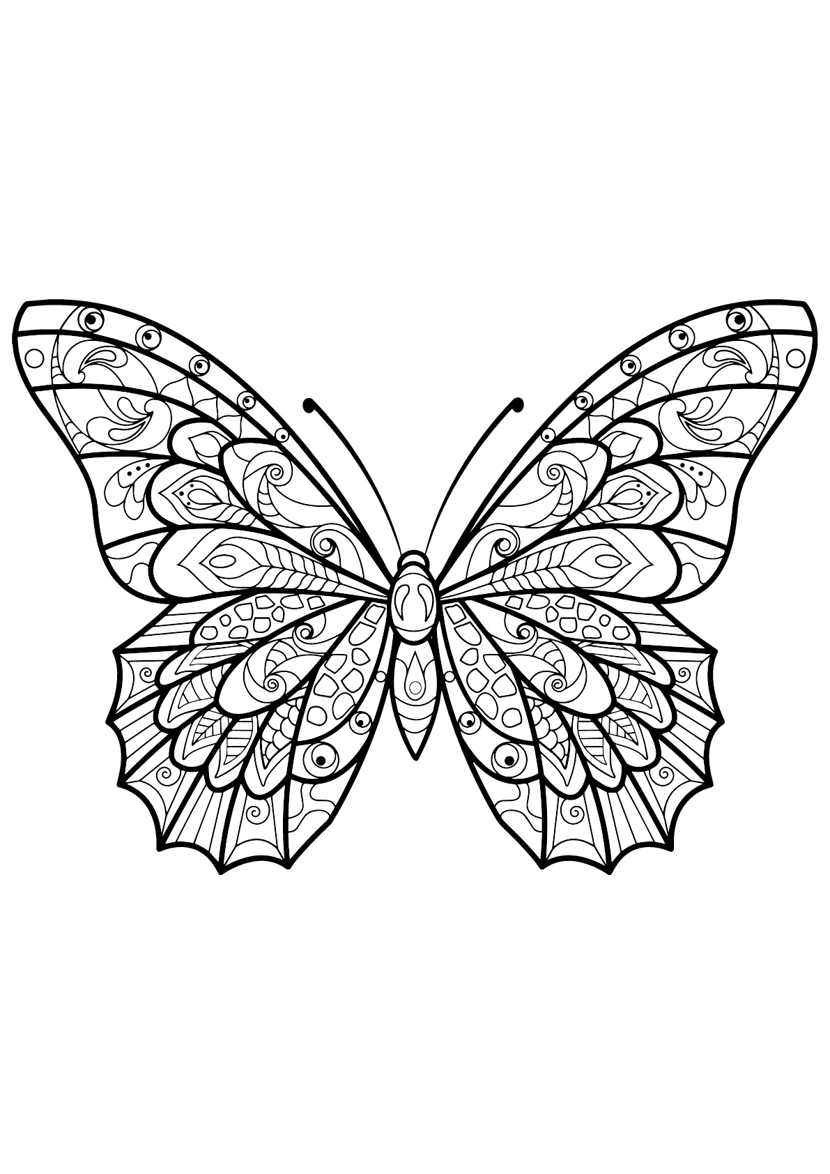 31 Beautiful Butterfly Coloring Pages Printable 1