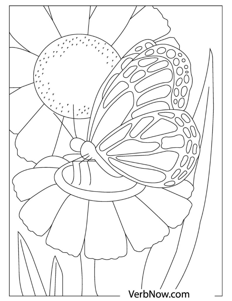 31 Beautiful Butterfly Coloring Pages Printable 10