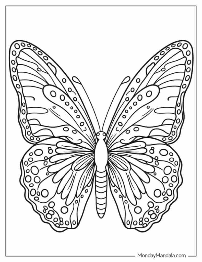 31 Beautiful Butterfly Coloring Pages Printable 13