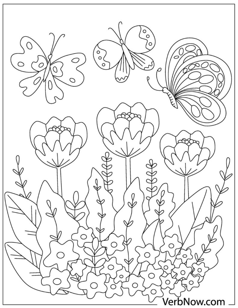 31 Beautiful Butterfly Coloring Pages Printable 18