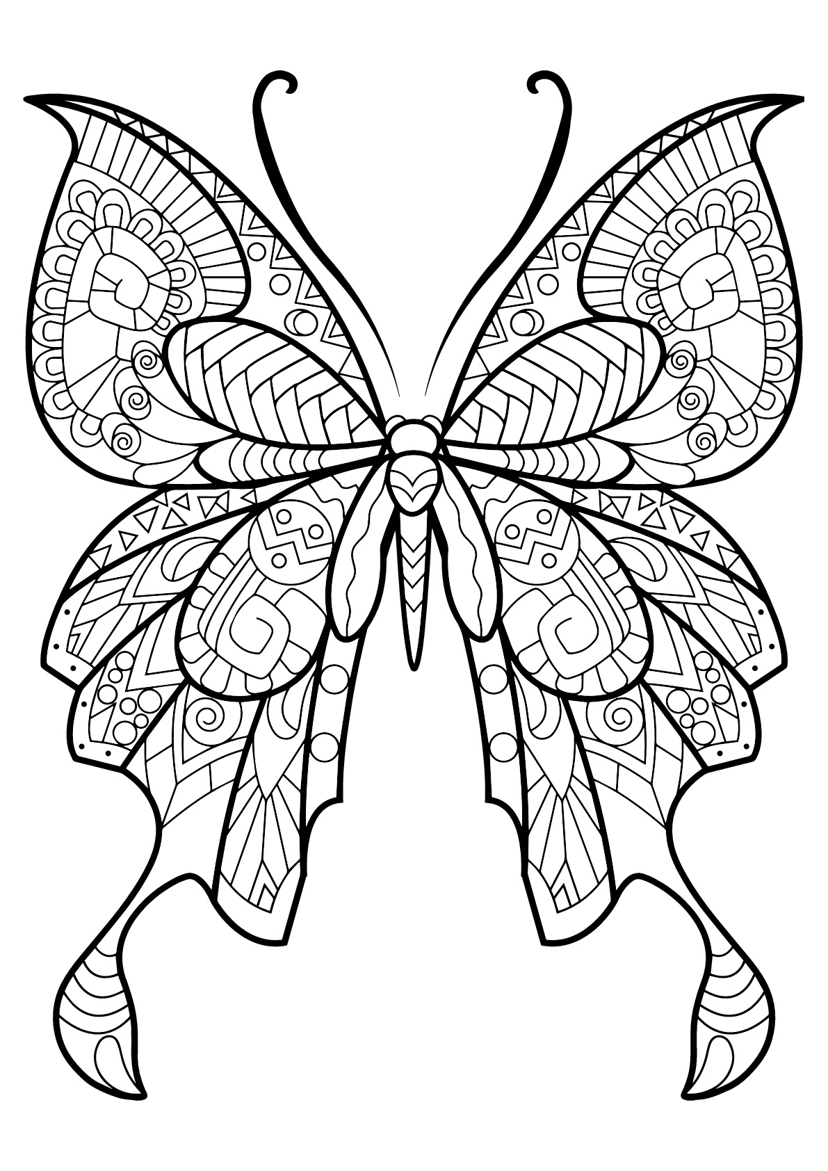 31 Beautiful Butterfly Coloring Pages Printable 7