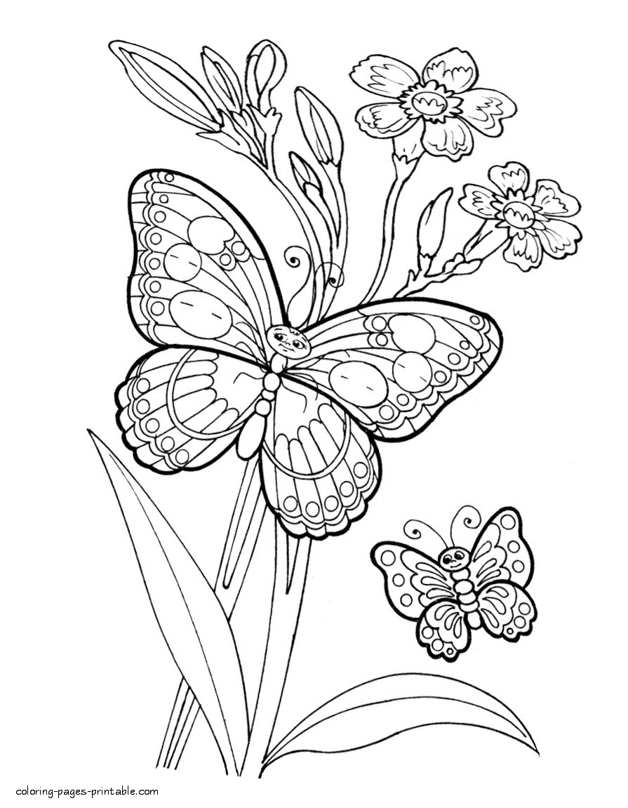 31 Beautiful Butterfly Coloring Pages Printable 9