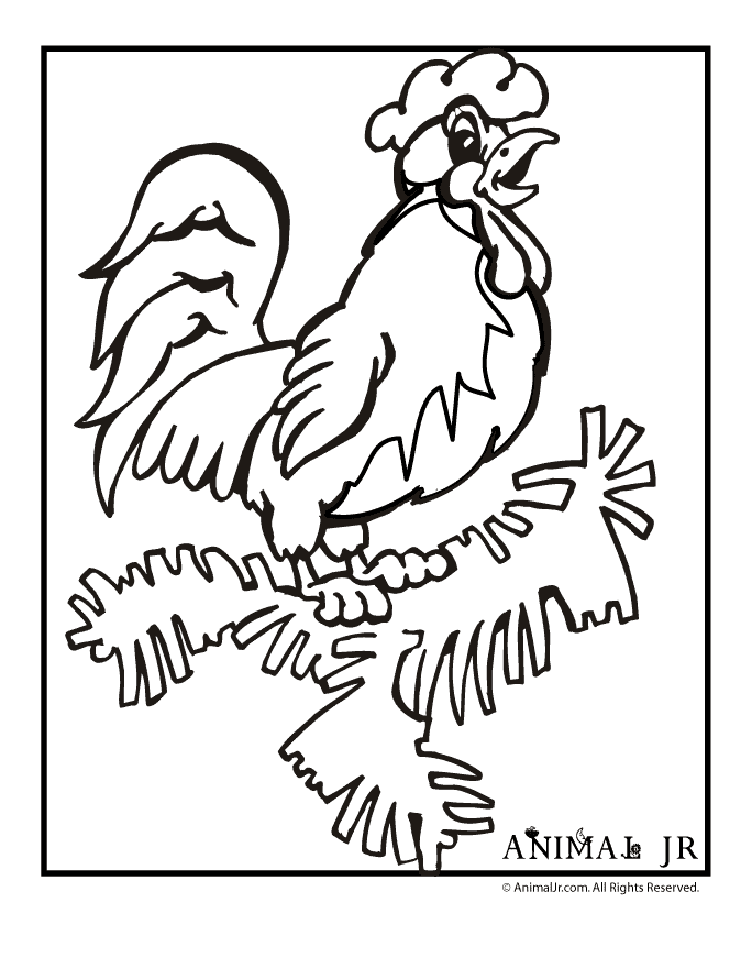 31 Chinese Zodiac Animals Coloring Pages Printable 30