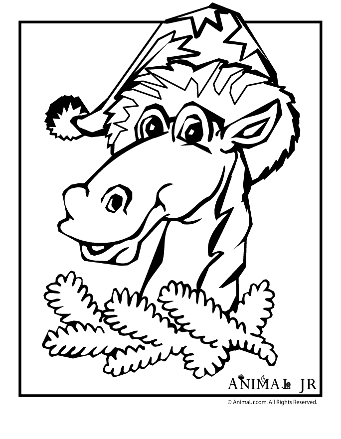 31 Chinese Zodiac Animals Coloring Pages Printable 8