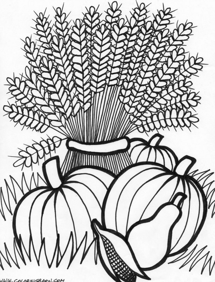 31 Easy Fall Coloring Pages Printable 11